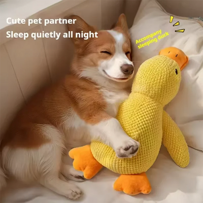 Pet Supplies